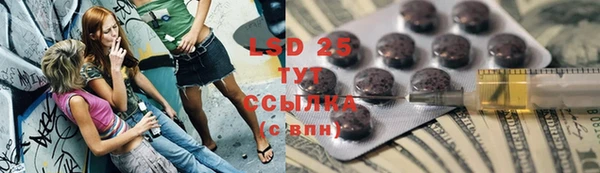 шишки Медногорск
