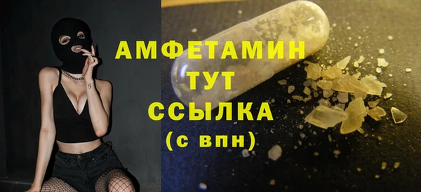 шишки Медногорск
