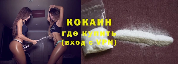 шишки Медногорск