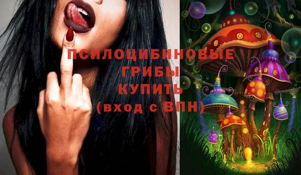 экстази Медвежьегорск
