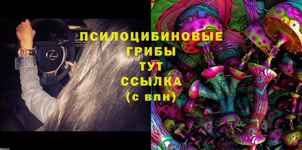 шишки Медногорск