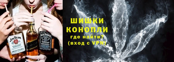 шишки Медногорск