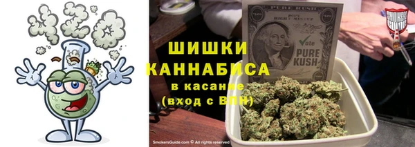 шишки Медногорск