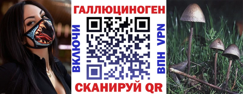 Псилоцибиновые грибы MAGIC MUSHROOMS  Семикаракорск 